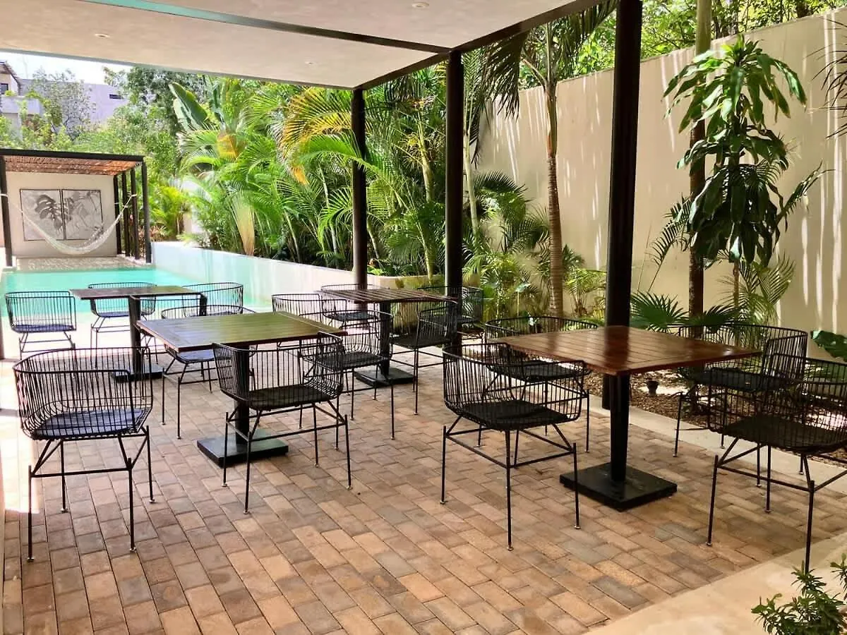 Apartment Tulum Center Family Double Suite Four Guest With Free Parking Pool Ac Kitchenette Near Beach Mexico