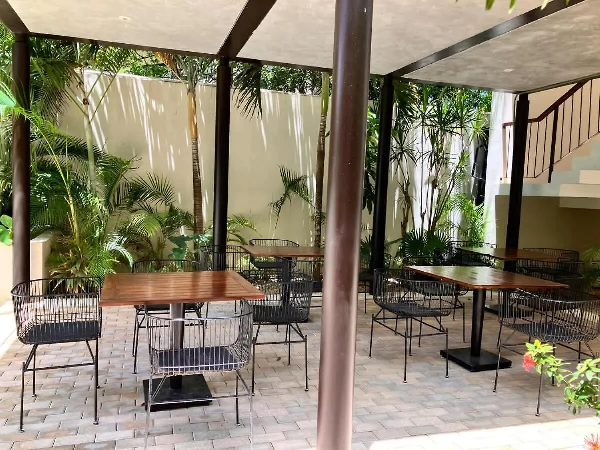 Apartment Tulum Center Family Double Suite Four Guest With Free Parking Pool Ac Kitchenette Near Beach