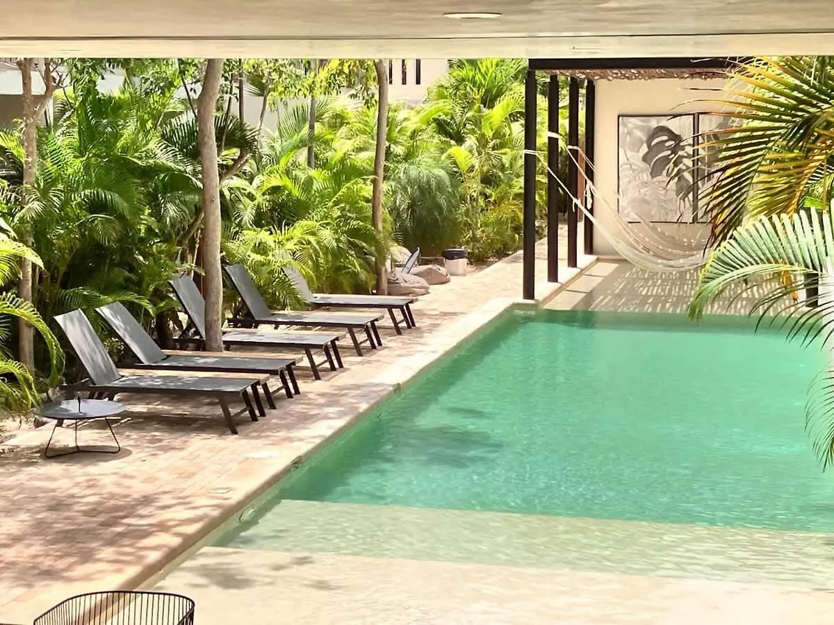 Tulum Center Family Double Suite Four Guest With Free Parking Pool Ac Kitchenette Near Beach Apartment