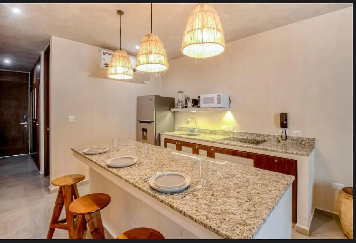 Tulum Center Family Double Suite Four Guest With Free Parking Pool Ac Kitchenette Near Beach Apartment